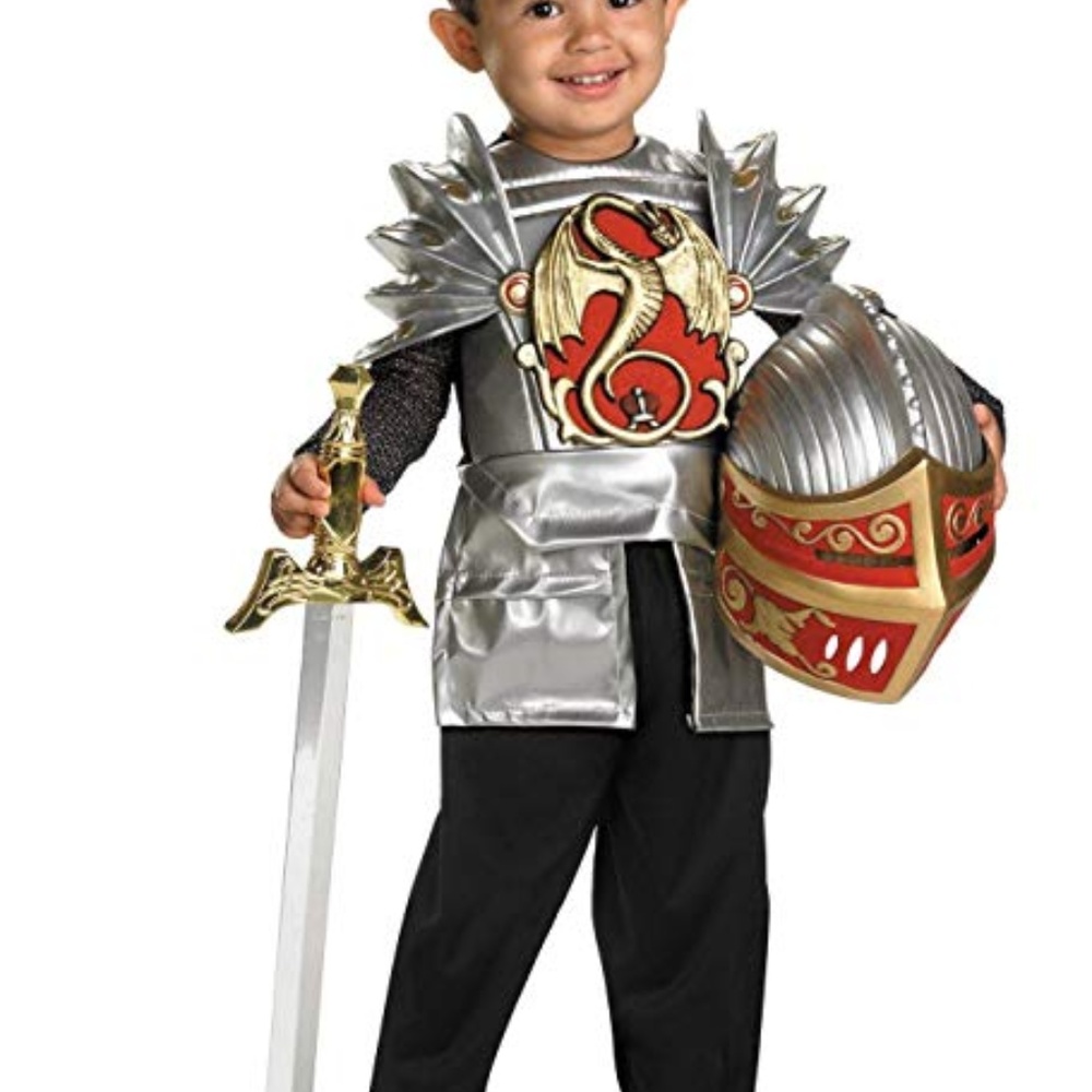 Knight of the Dragon Toddler Costume